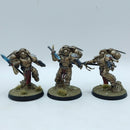 Warhammer 40k: Space Marines Blood Angels Sanguinary Guard - Pro Painted (AC205)