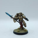 Warhammer 40k: Space Marines Blood Angels Sanguinary Guard - Pro Painted (AC205)