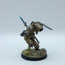 Warhammer 40k: Space Marines Blood Angels Sanguinary Guard - Pro Painted (AC205)