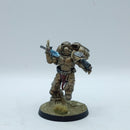 Warhammer 40k: Space Marines Blood Angels Sanguinary Guard - Pro Painted (AC205)