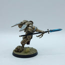 Warhammer 40k: Space Marines Blood Angels Sanguinary Guard - Pro Painted (AC205)