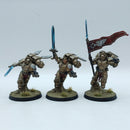 Warhammer 40k: Space Marines Blood Angels Sanguinary Guard - Pro Painted (BA115)