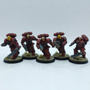Warhammer 40k: Space Marines Blood Angels Assault Intercessors - Pro Painted (BI205)