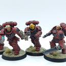 Warhammer 40k: Space Marines Blood Angels Assault Intercessors - Pro Painted (BI205)