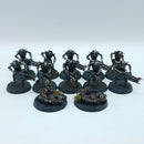 Warhammer 40k: Necron Warriors - Well Painted (AJ077)