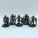 Warhammer 40k: Necron Lychguard - Well Painted (BP110)