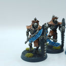 Warhammer 40k: Necron Lychguard - Well Painted (BP110)