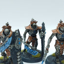 Warhammer 40k: Necron Lychguard - Well Painted (BP110)