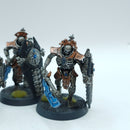 Warhammer 40k: Necron Lychguard - Well Painted (BP110)