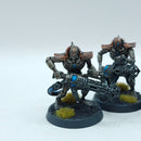 Warhammer 40k: Necron Immortals - Well Painted (AQ053)