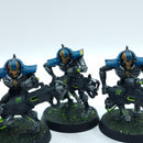 Warhammer 40k: Necron Immortals - Well Painted (BN134)