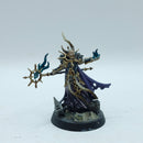 Warhammer Age of Sigmar: Slaves to Darkness Khagra's Ravagers Chaos Sorcerer - Well Painted (BO058)