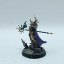 Warhammer Age of Sigmar: Slaves to Darkness Khagra's Ravagers Chaos Sorcerer - Well Painted (BO058)