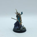 Warhammer Age of Sigmar: Slaves to Darkness Khagra's Ravagers Chaos Sorcerer - Well Painted (BO058)