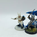 Warhammer Lord of the Rings: The Fiefdoms Foot Knights of Dol Amroth (AF043)
