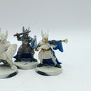 Warhammer Lord of the Rings: The Fiefdoms Foot Knights of Dol Amroth (AF043)