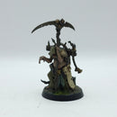 Warhammer Age of Sigmar: Maggotkin of Nurgle Rotbringer Sorcerer - Painted (AF052)
