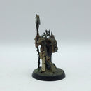 Warhammer Age of Sigmar: Maggotkin of Nurgle Rotbringer Sorcerer - Painted (AF052)