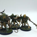 Warhammer Age of Sigmar: Maggotkin of Nurgle Rotmire Creed - Painted (AL063)