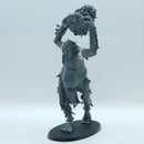 Warhammer Age of Sigmar: Sons of Behemat Mancrusher Gargant (BN115)