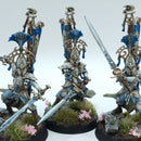 Warhammer Age of Sigmar: Lumineth Realm Lord Vanari Bladelords - Well Painted (AZ129)