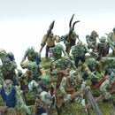 Warhammer Fantasy/The Old World: Vampire Counts Old Zombie Regiment OOP - Painted (AJ182)