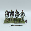 Warhammer Fantasy/The Old World: Vampire Counts Metal Black Knights (AJ181)