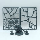 Warhammer Age of Sigmar: Ogor Mawtribes Blackpowder's Buccaneers (AQ048)