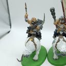 Warhammer Age of Sigmar: Ogor Mawtribes Mournfang Pack (AC004)