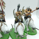 Warhammer Age of Sigmar: Ogor Mawtribes Mournfang Pack (AC004)