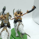 Warhammer Age of Sigmar: Ogor Mawtribes Mournfang Pack (AC004)