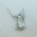 Warhammer The Old World: Dark Elves Standard Bearer Limited Edition (AC184)