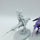 Warhammer Age of Sigmar: Hedonites of Slaanesh Seekers of Slaanesh (AA062)
