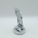Warhammer Age of Sigmar: Hedonites of Slaanesh Infernal Enrapturess (AA108)
