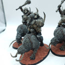 Warhammer Age of Sigmar: Ogor Mawtribes Mournfang Riders (AU084)