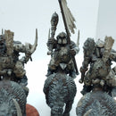 Warhammer Age of Sigmar: Ogor Mawtribes Mournfang Riders (AU084)