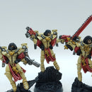 Warhammer 40k: Adepta Sororitas Metal Seraphim Squad - Well Painted (AZ158)