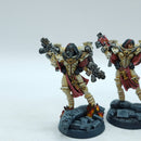 Warhammer 40k: Adepta Sororitas Metal Seraphim Squad - Well Painted (AT171)