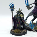 Warhammer Age of Sigmar: Stormcast Eternals Lord-Vigilant and Lord-Veritant - Well Painted (AE216)