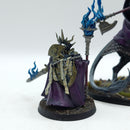 Warhammer Age of Sigmar: Stormcast Eternals Lord-Vigilant and Lord-Veritant - Well Painted (AE216)