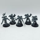 Warhammer 40k: Emperor's Children Infractors (AW209)