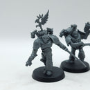 Warhammer 40k: Emperor's Children Infractors (AW209)
