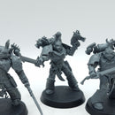 Warhammer 40k: Emperor's Children Infractors (AW209)