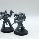 Warhammer 40k: Emperor's Children Infractors (AW209)