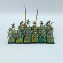 Warhammer Fantasy: Vampire Counts Skeleton Warriors Regiment (BR109)