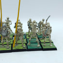 Warhammer Fantasy: Vampire Counts Skeleton Warriors Regiment (BR109)
