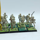 Warhammer Fantasy: Vampire Counts Skeleton Warriors Regiment (BR109)