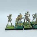 Warhammer Fantasy: Vampire Counts Skeleton Warriors Regiment (BR109)