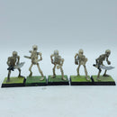 Warhammer Fantasy: Vampire Counts Skeleton Warriors Regiment (BR109)