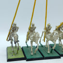 Warhammer Fantasy: Vampire Counts Skeleton Horsemen Regiment (AX091)